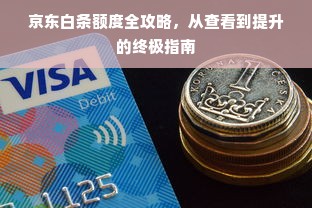 京东白条额度全攻略，从查看到提升的终极指南