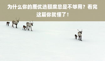 为什么你的鹿优选额度总是不够用？看完这篇你就懂了！