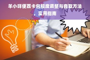 羊小咩便荔卡包额度调整与套取方法，实用指南