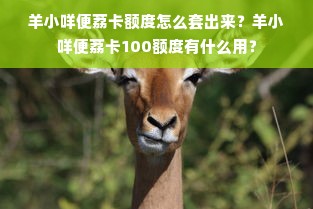 羊小咩便荔卡额度怎么套出来？羊小咩便荔卡100额度有什么用？
