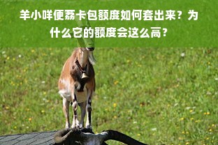 羊小咩便荔卡包额度如何套出来？为什么它的额度会这么高？