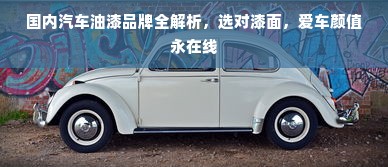 国内汽车油漆品牌全解析，选对漆面，爱车颜值永在线