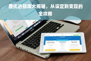 鹿优选额度大揭秘，从设定到变现的全攻略
