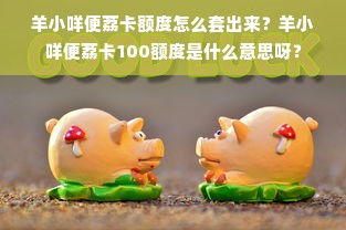 羊小咩便荔卡额度怎么套出来？羊小咩便荔卡100额度是什么意思呀？