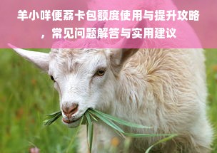 羊小咩便荔卡包额度使用与提升攻略，常见问题解答与实用建议