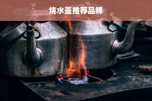 烧水壶推荐品牌