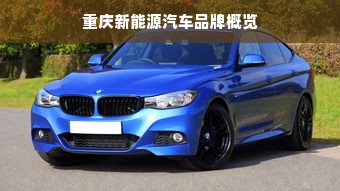 重庆新能源汽车品牌概览