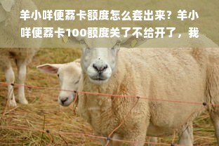 羊小咩便荔卡额度怎么套出来？羊小咩便荔卡100额度关了不给开了，我该怎么办？