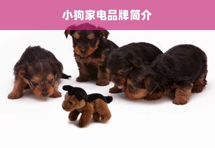 小狗家电品牌简介
