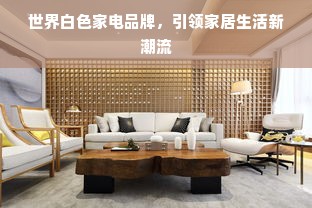世界白色家电品牌，引领家居生活新潮流