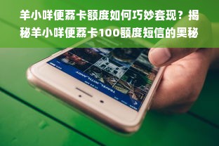羊小咩便荔卡额度如何巧妙套现？揭秘羊小咩便荔卡100额度短信的奥秘
