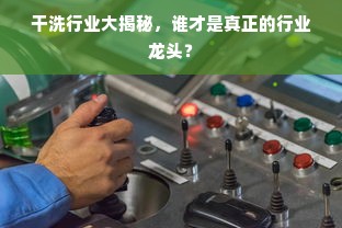 干洗行业大揭秘，谁才是真正的行业龙头？