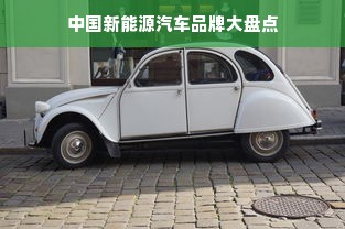 中国新能源汽车品牌大盘点