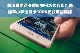 羊小咩便荔卡额度如何巧妙套现？揭秘羊小咩便荔卡1000元额度的奥秘