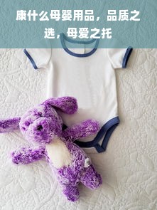 康什么母婴用品，品质之选，母爱之托