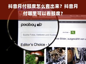 抖音月付额度怎么套出来？抖音月付哪里可以看额度？