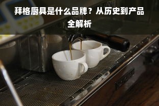 拜格厨具是什么品牌？从历史到产品全解析
