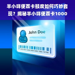 羊小咩便荔卡额度如何巧妙套现？揭秘羊小咩便荔卡10000额度背后的奥秘