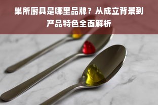 巢所厨具是哪里品牌？从成立背景到产品特色全面解析