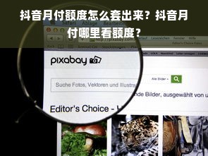 抖音月付额度怎么套出来？抖音月付哪里看额度？