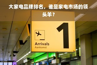 大家电品牌排名，谁是家电市场的领头羊？