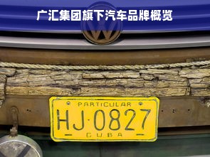 广汇集团旗下汽车品牌概览
