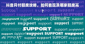 抖音月付额度攻略，如何套现及哪家额度高？