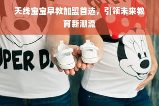 天线宝宝早教加盟首选，引领未来教育新潮流