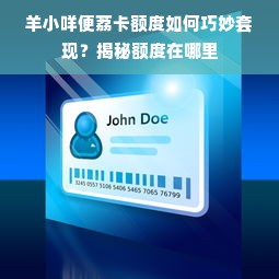 羊小咩便荔卡额度如何巧妙套现？揭秘额度在哪里