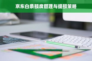 京东白条额度管理与提额策略