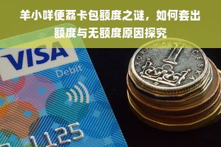 羊小咩便荔卡包额度之谜，如何套出额度与无额度原因探究