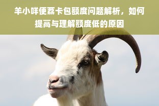 羊小咩便荔卡包额度问题解析，如何提高与理解额度低的原因