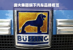 庞大集团旗下汽车品牌概览