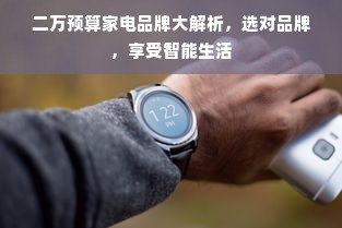 二万预算家电品牌大解析，选对品牌，享受智能生活