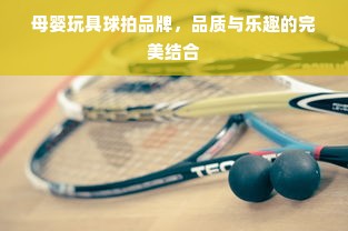 母婴玩具球拍品牌，品质与乐趣的完美结合