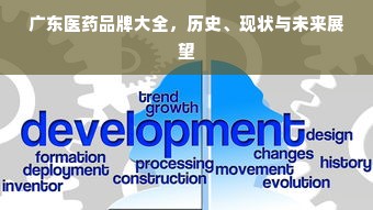 广东医药品牌大全，历史、现状与未来展望