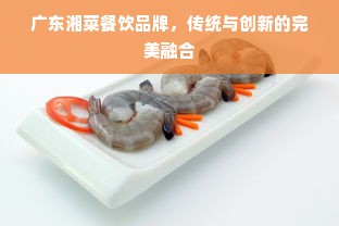 广东湘菜餐饮品牌，传统与创新的完美融合