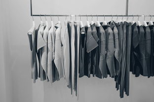 汉服商家品牌全解析，从传统到潮流的服饰王国