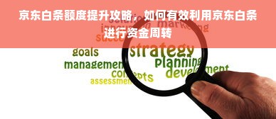 京东白条额度提升攻略，如何有效利用京东白条进行资金周转