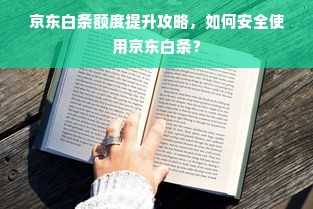 京东白条额度提升攻略，如何安全使用京东白条？