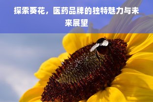 探索葵花，医药品牌的独特魅力与未来展望
