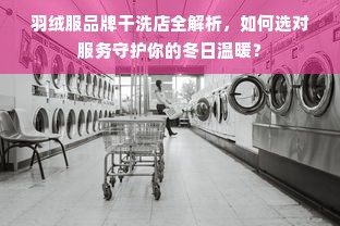 羽绒服品牌干洗店全解析，如何选对服务守护你的冬日温暖？