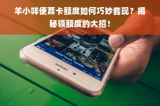 羊小咩便荔卡额度如何巧妙套现？揭秘领额度的大招！
