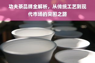 功夫茶品牌全解析，从传统工艺到现代市场的突围之路
