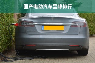 国产电动汽车品牌排行