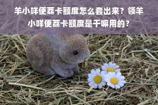 羊小咩便荔卡额度怎么套出来？领羊小咩便荔卡额度是干嘛用的？