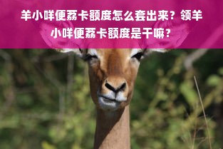 羊小咩便荔卡额度怎么套出来？领羊小咩便荔卡额度是干嘛？
