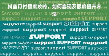 抖音月付额度攻略，如何套现及额度提升方法