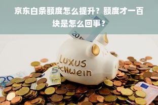 京东白条额度怎么提升？额度才一百块是怎么回事？