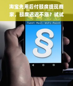 淘宝先用后付额度提现商家，额度迟迟不涨？试试这些方法！